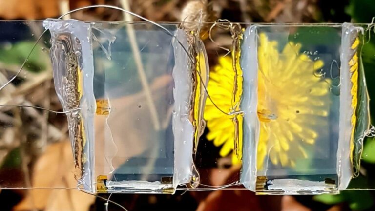 Chinese Scientists Develop Invisible Solar Panel Windows