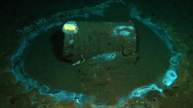 Mystery Solved: The Ocean Floor Off LA Is Being Transformed by Caustic Waste, Not DDT.