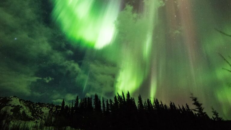 Scientists Crack Mystery of Sun’s Magnetic Field Engine