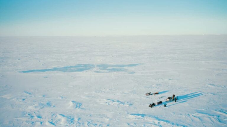 The ‘Dangerous Flaw’ Scientists Found in Every Major Plan to Save the World’s Ice.