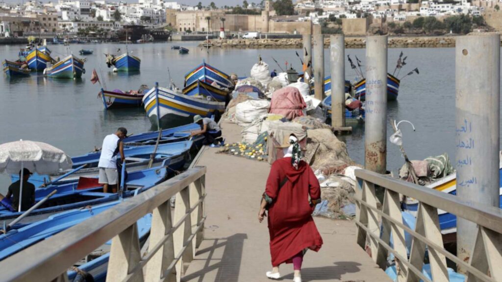 Imagem-55-2-1024x576 High Seas Protection Treaty Enters Force After 60th Nation Ratifies